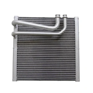 1635820355392669 (1)